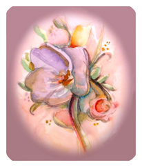 282 DF35-220 Ametrine